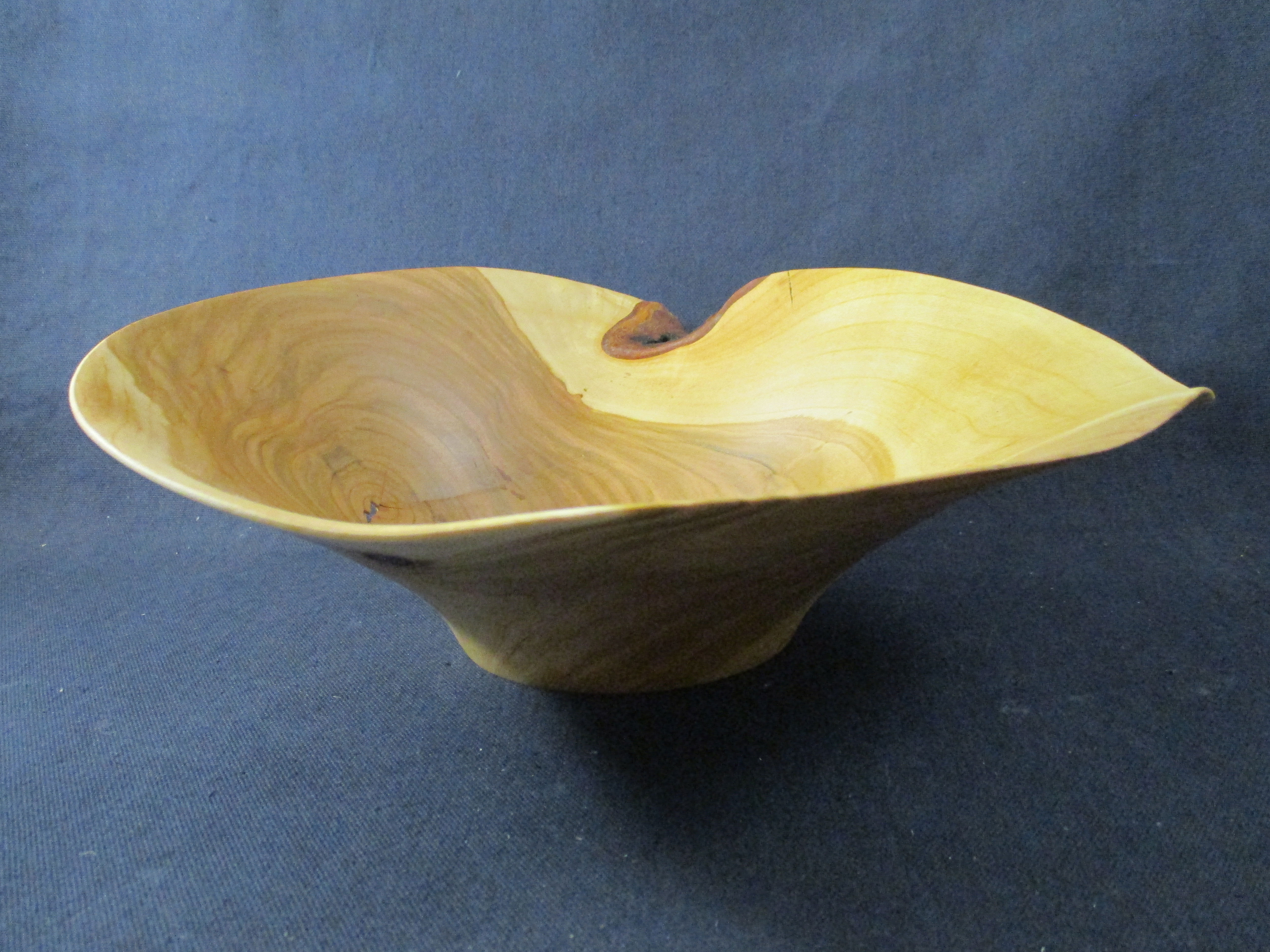 Schale Kirsche