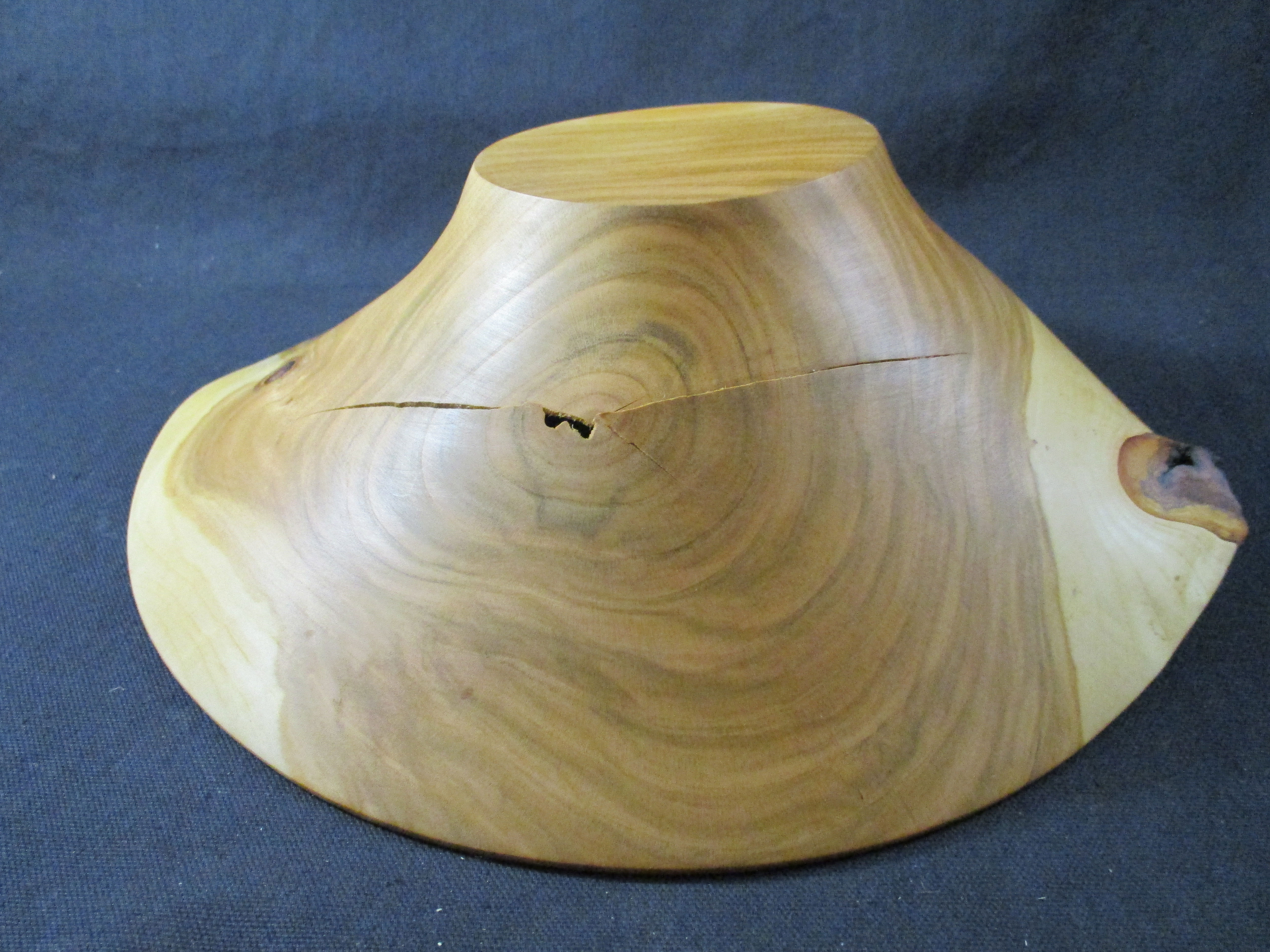 Schale Kirsche