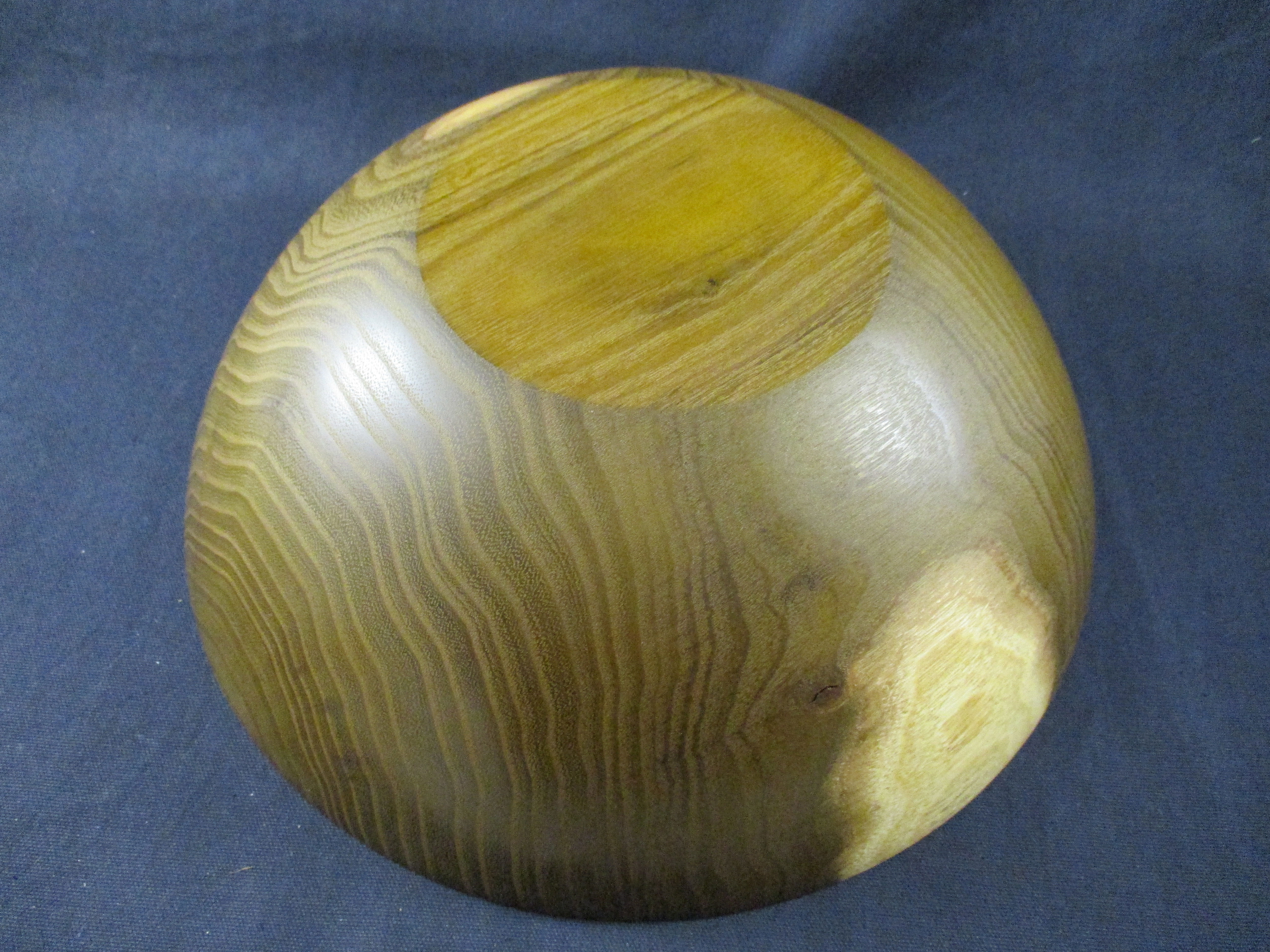 Schale Robinie