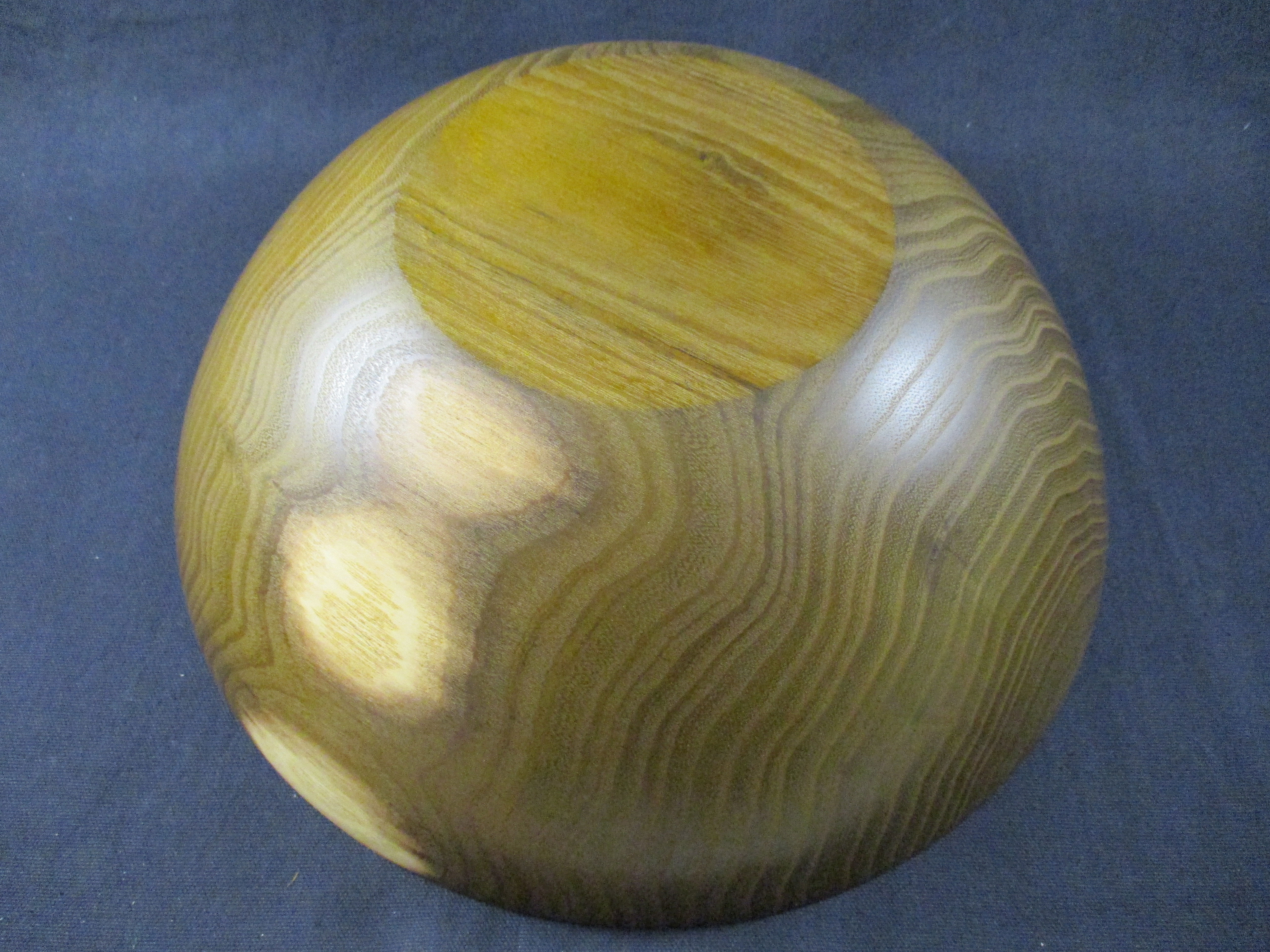 Schale Robinie